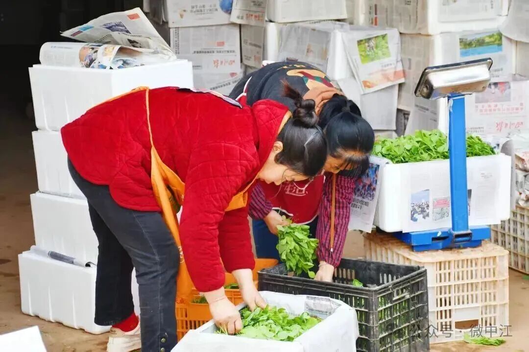 1764205814308029494.jpg 1764205814308029494.jpg