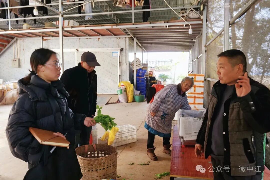 人大代表风采丨向明英：履职为民，当群众的“暖心人...