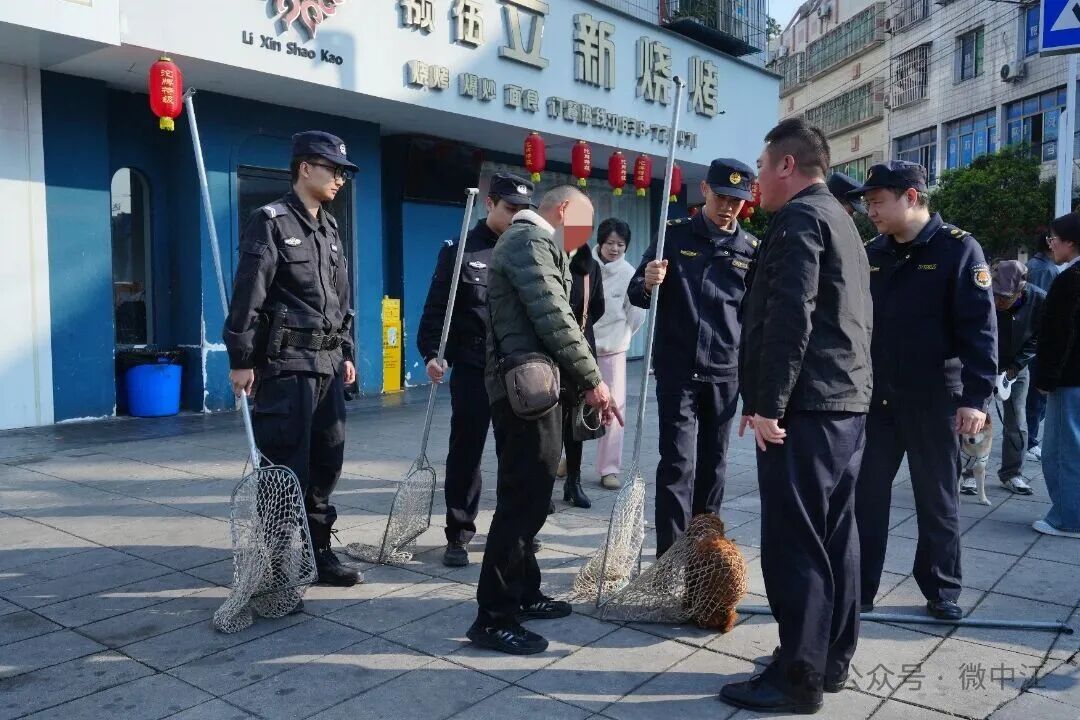 遛狗必拴绳！ “文明遛狗” 专项整治持续进行中