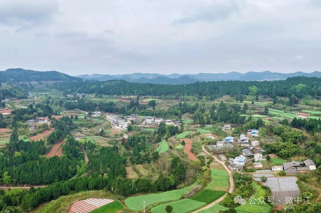 从“有水喝”到“喝好水”，中江“城乡供水一体化”...